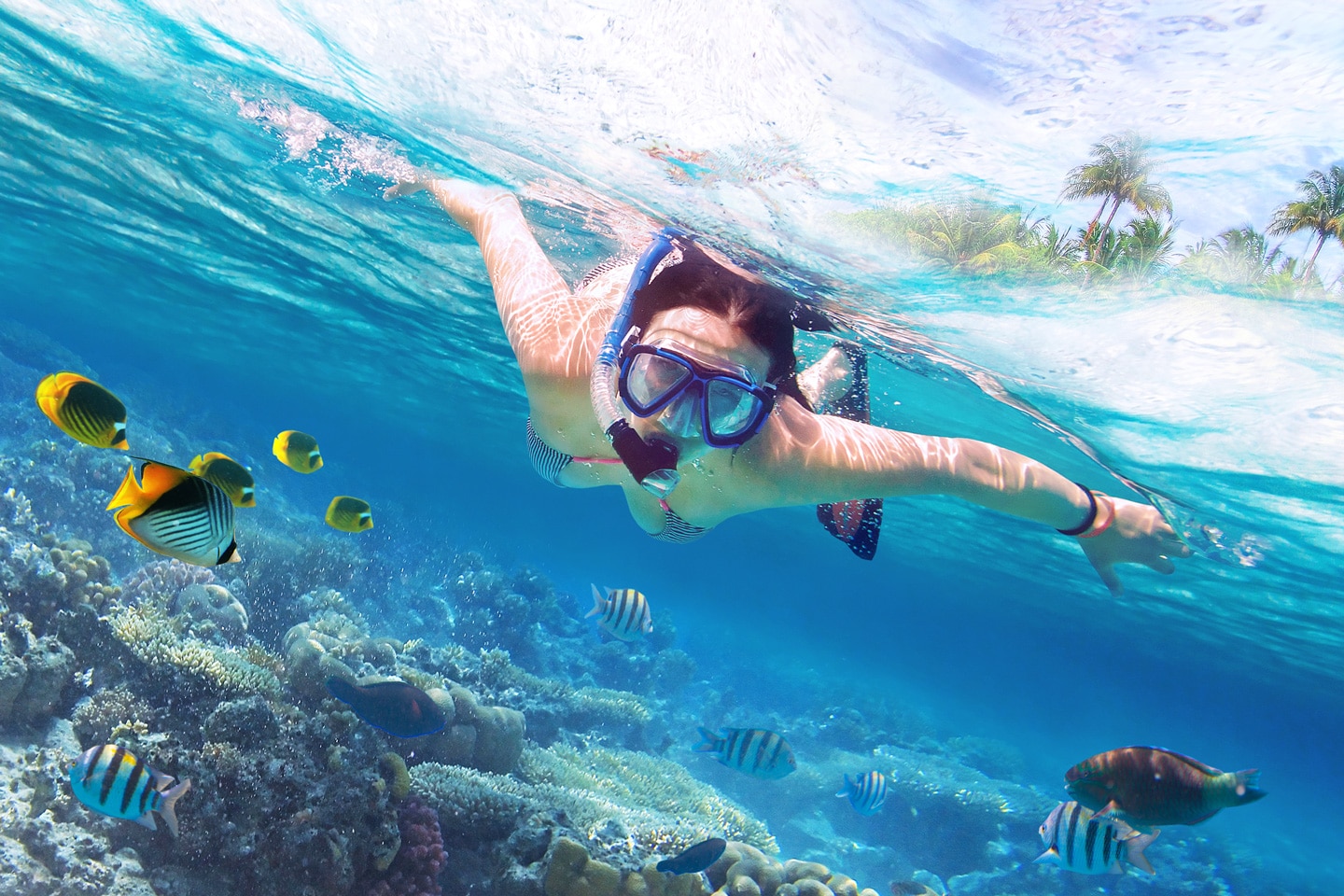 beginners guide to snorkelling