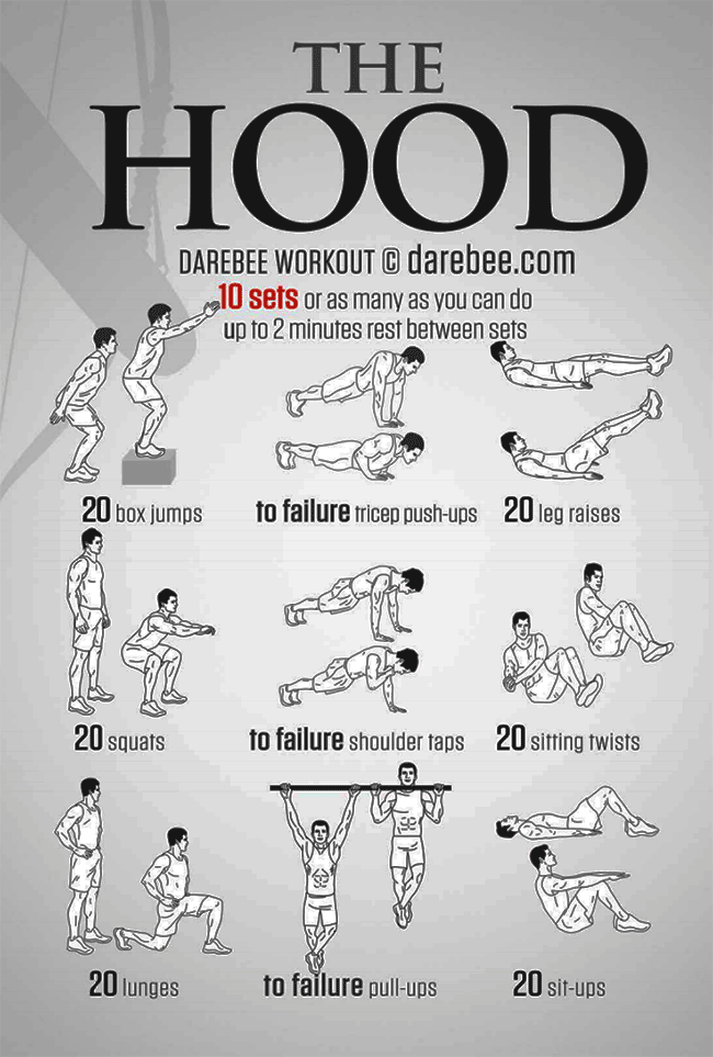 beginner bodyweight workout pdf