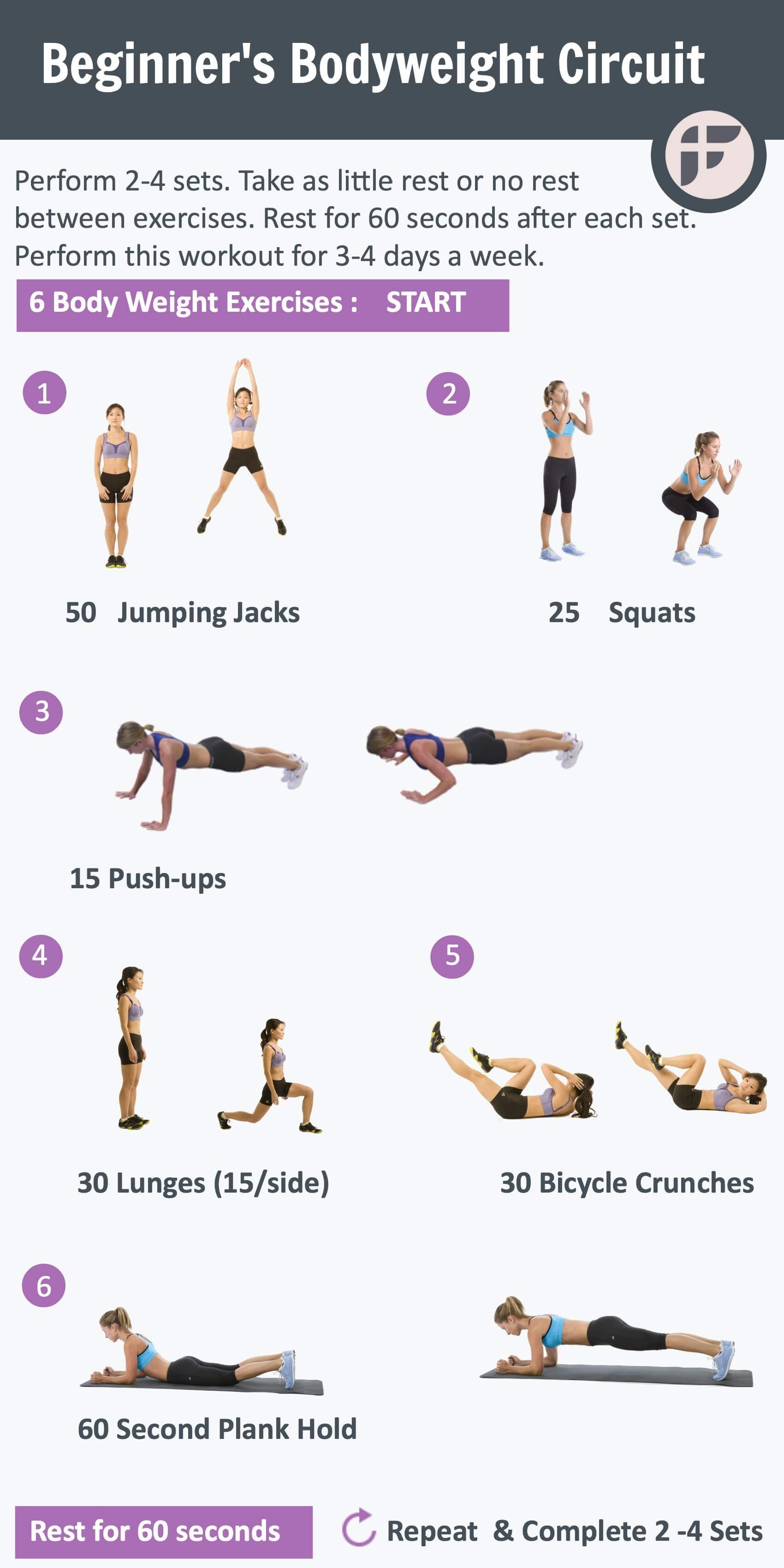 beginner bodyweight workout pdf