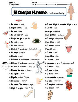 body parts in spanish worksheet pdf