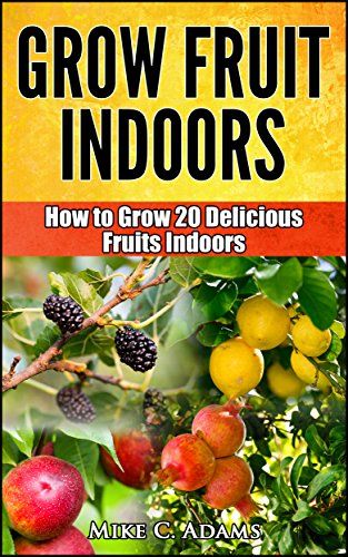 beginners guide to indoor gardening