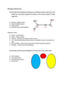 biological molecules a level notes pdf