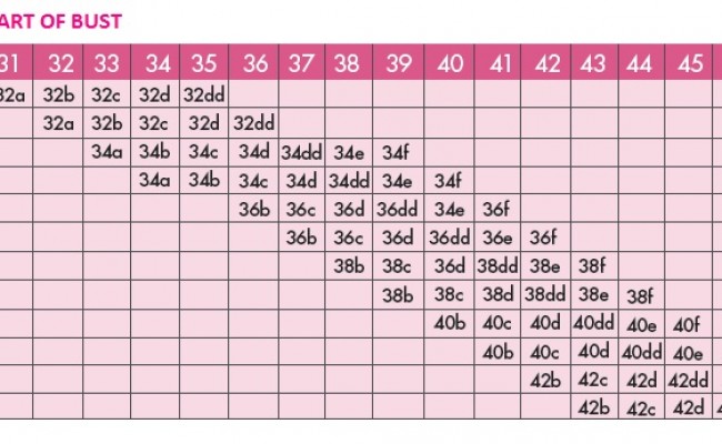 bra size cup guide