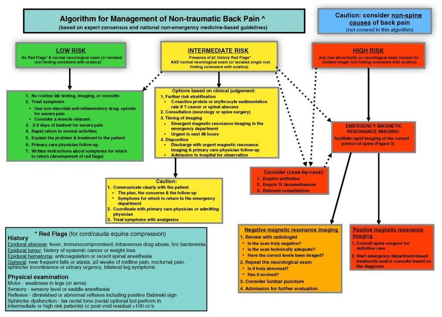 acute pain management guidelines 2017 pdf