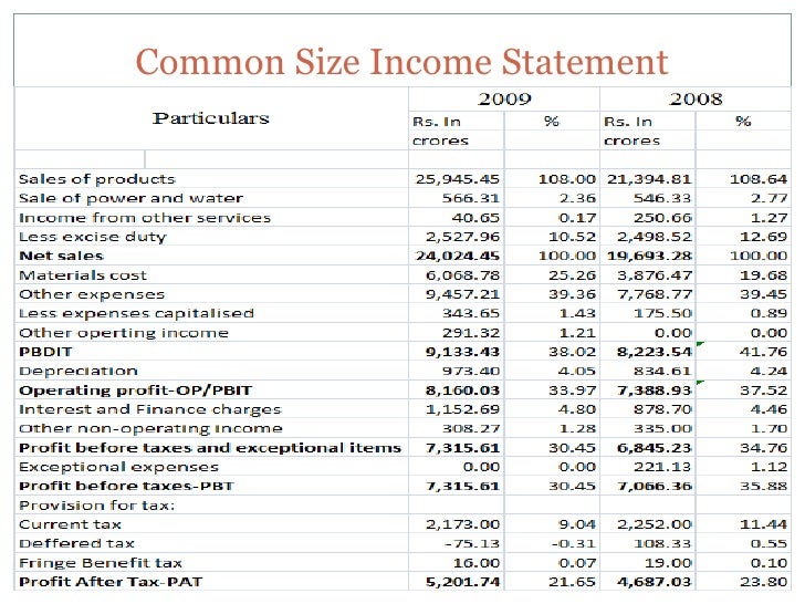 common size statement pdf
