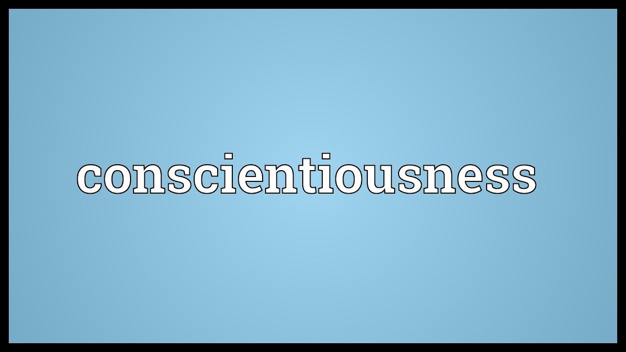 conscientious definition dictionary com