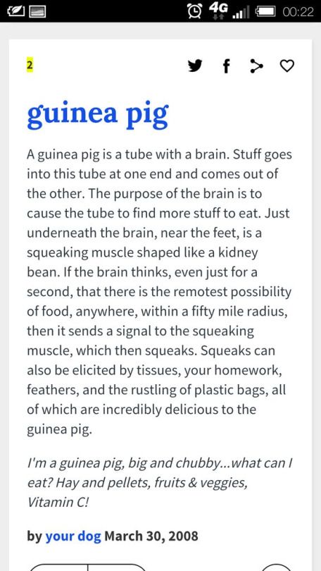 dictionary guinea pig