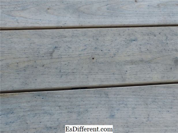 difference between hardwood and softwood pdf